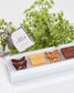 <tc>KOSI-</tc>INDULGE